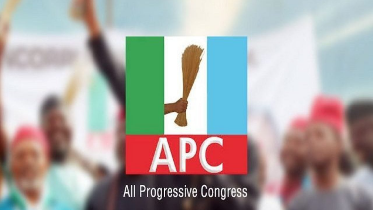 Peace Initiatives Yielding Result In Niger Delta, Says APC Youths