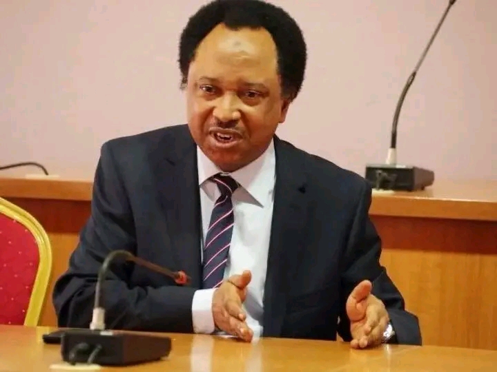 I was almost suspended in 2018 for revealing lawmakers allowances – Shehu Sani