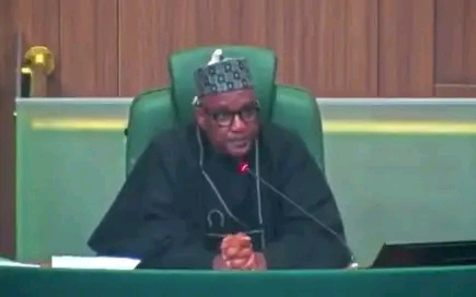 Reps Propose Six Months’ Imprisonment, N100,000 Fine For Nigerians Who Fail To Vote