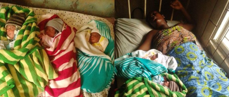 Bricklayer wife 768x327