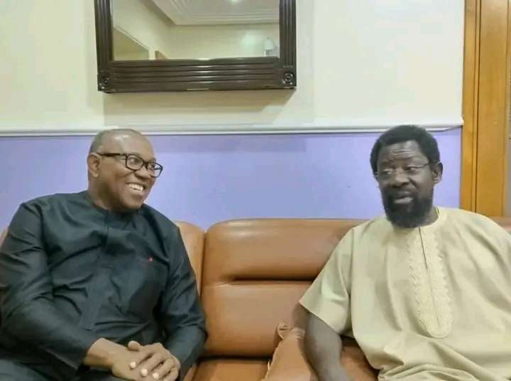 Why I Will Still Vote For Peter Obi In 2027 — Farotimi