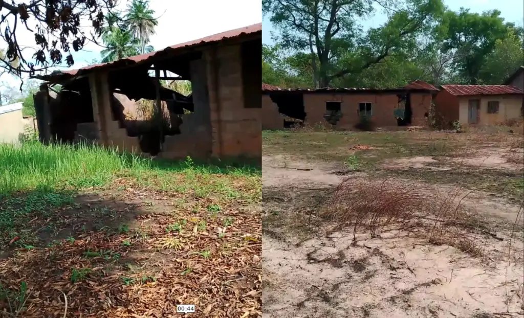 Snakes, Lizards Take Over Public Schools