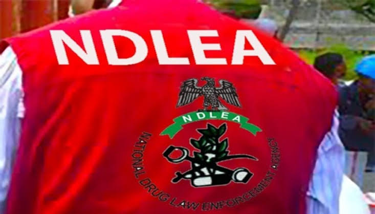 Avoid Carrying Luggages You Don’t Know Its Contents – NDLEA Warns Nigerians