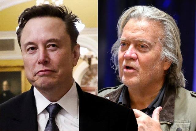 BREAKING: Steve Begs Trump To Deport Elon Musk